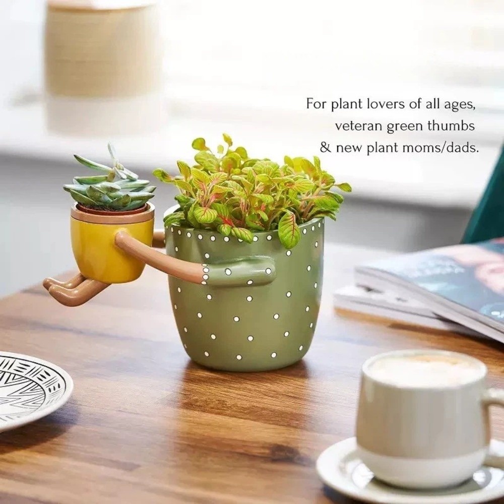 وعاء زهور من الراتنج بتصميم من - مراجعة The Plant Parent وسعره